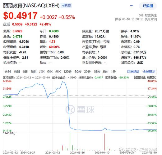 丽翔教育盘中异动 股价大跌6.74%报0.389美元